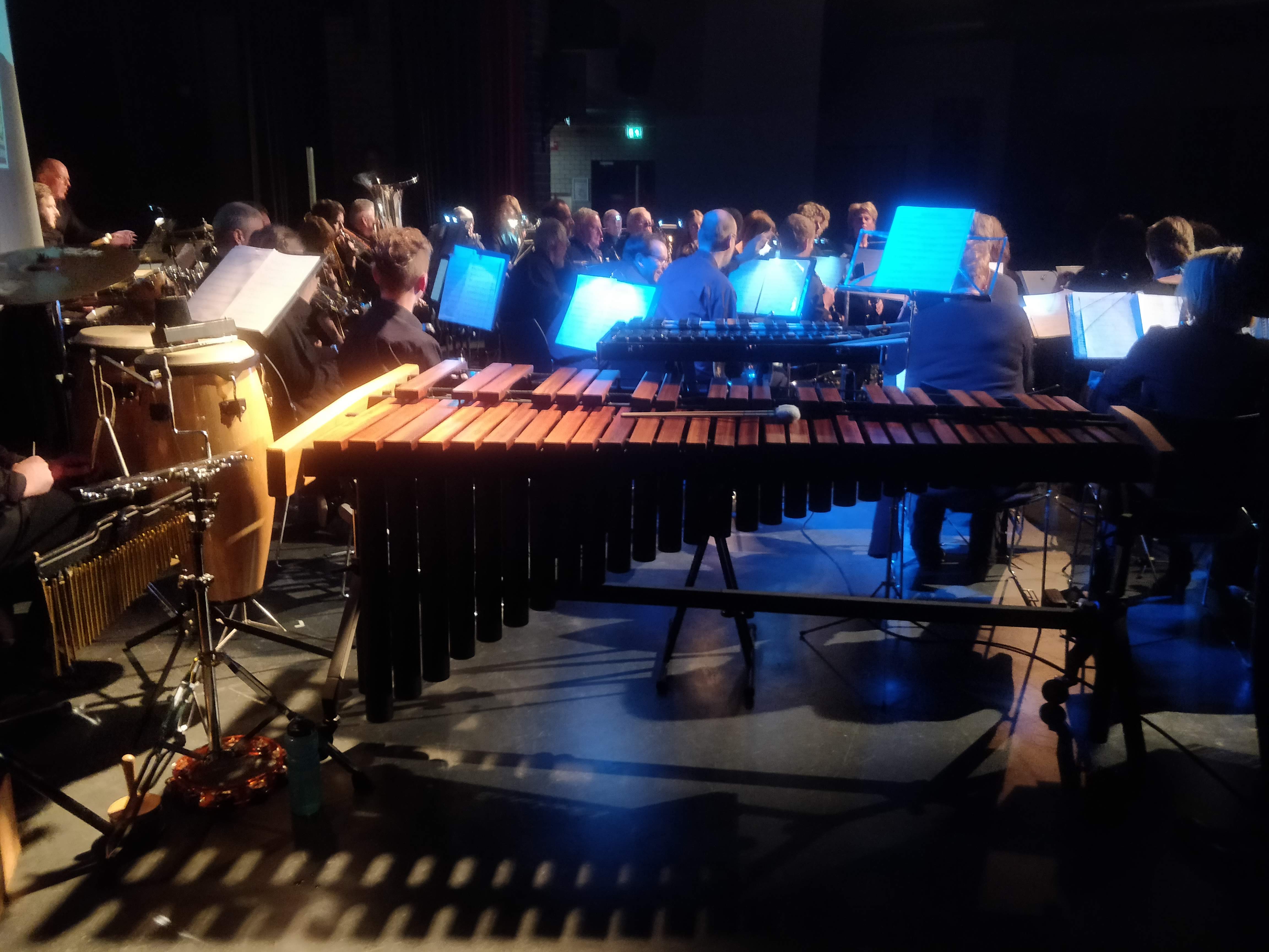 Concert in Wijhe, foto van achter marimba